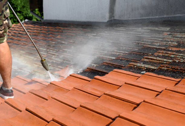 Best Pressure Washing Services Near Me  in Bayou Vista, TX