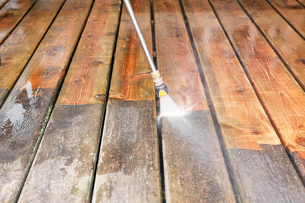Best Best Pressure Washing Companies  in Bayou Vista, TX