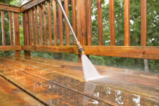 Best Pressure Washing Patio  in Bayou Vista, TX